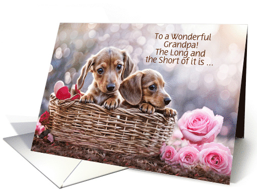 Grandfather Grandpa Happy Valentines Day Cute Dachshunds Custom card
