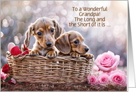 Grandfather Grandpa Happy Valentines Day Cute Dachshunds Custom card