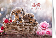 General Happy Valentines Day with Cute Dachshund Puppies Funny Custom card