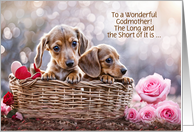 Godmother Happy Valentines Day Cute Dachshund Puppies Custom card