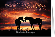 Granddaughter Happy Valentines Day with Pretty Horses Hearts Custom card