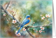 Get Well Feel Better Pretty Nature Bluebird and Blossoms card