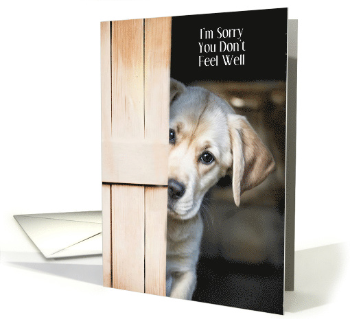 Get Well Feel Better Cute Yellow Lab Puppy Peaking Around... (1894704)