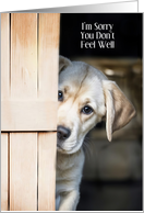 Get Well Feel Better Cute Yellow Lab Puppy Peaking Around Door Custom card