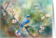 Spring Equinox Greetings Blossoms and Blue Bird Pretty Seasonal Custom card