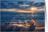 Thinking of You Sympathy Bereaved Single Rose on the Beach Sunset card
