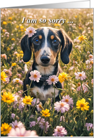 Loss of Home House Encouragement Sympathy for Loss Dog and Flowers card