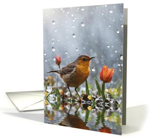 Happy Spring Vernal Equinox Cute Bird and Tulip Rain Seasons card