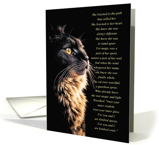 Black Cat with Pagan Wicca Inspired Poem About Magic and... (1904212)