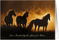 Horse Sympathy Condolences Loss of Horse Custom Cover Text card