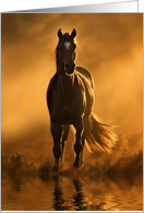 Horse Sympathy Loss of Horse Beautiful Horse and Water Sunset card