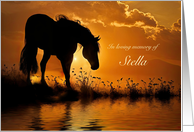 Horse Sympathy Loss of Horse Putting Down Custom Name Cover Text card