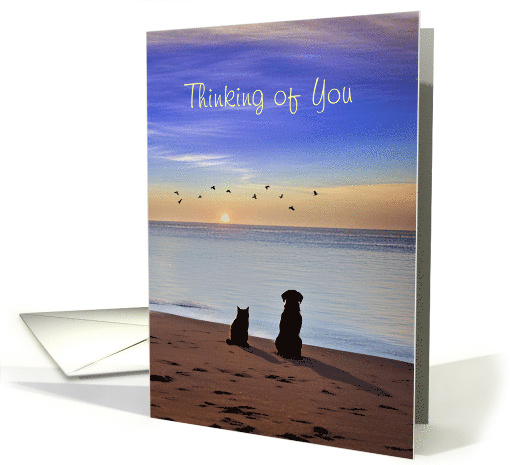Pet Sympathy Loss of Cat or Dog Silhouetted Beach Sunset... (1909618)