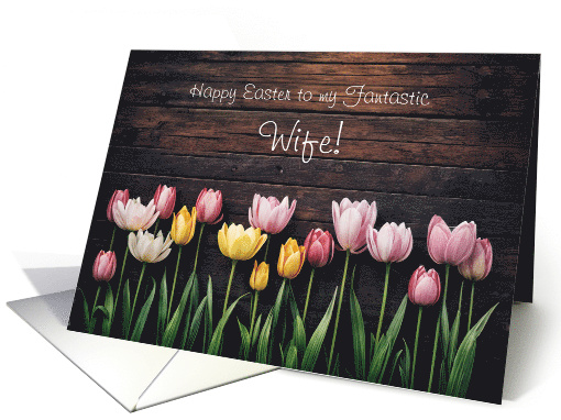 Wife Happy Easter with Cheerful and Pretty Tulip Bulbs... (1909716)