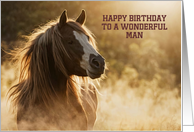 Happy Birthday for Him Wild Mustang Horse Spirit Custom Text card