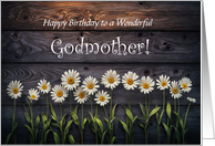 Godmother Happy Birthday with Pretty Daisy Flowers Country Custom card