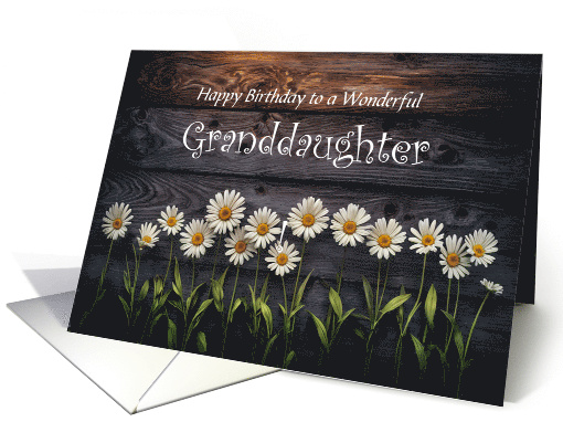 Granddaughter Happy Birthday with Pretty Daisy Flowers... (1921374)