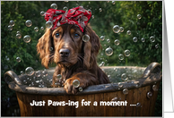 Irish Setter Dog Pup Cute Thinking of You in a Tub with Bubbles Custom card