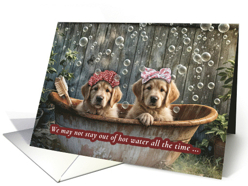 Friendship Cute Golden Retriever Dogs in a Bath Humorous and Fun card