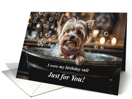 Birthday with Cute Yorkie Type Toy Bred Puppy in a Bubble... (1925176)