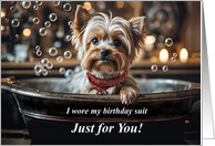 Birthday with Cute Yorkie Type Toy Bred Puppy in a Bubble Bath Humor card