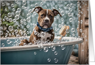Birthday with Super Cute Pitbull Puppy Dog in a Bubble Bath Humor card