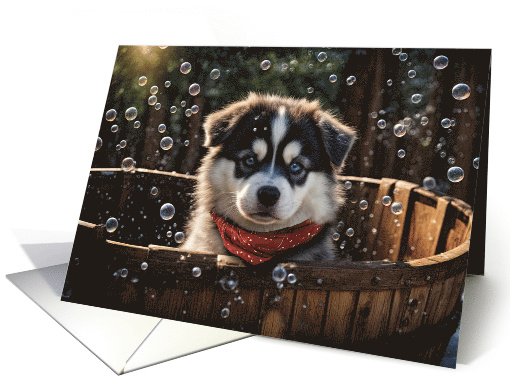 Birthday Siberian Husky Dog Puppy in a Bubble Bath with... (1925182)