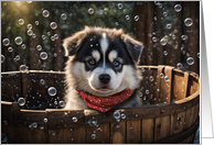 Birthday Siberian Husky Dog Puppy in a Bubble Bath with Red Bandana card