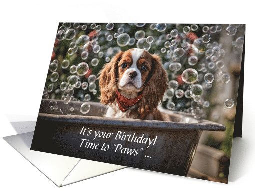 Birthday Cavalier King Charles Spaniel in a Bath Bubbles... (1925302)