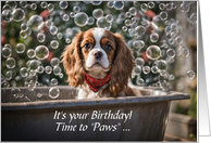 Birthday Cavalier King Charles Spaniel in a Bath Bubbles Cute Custom card