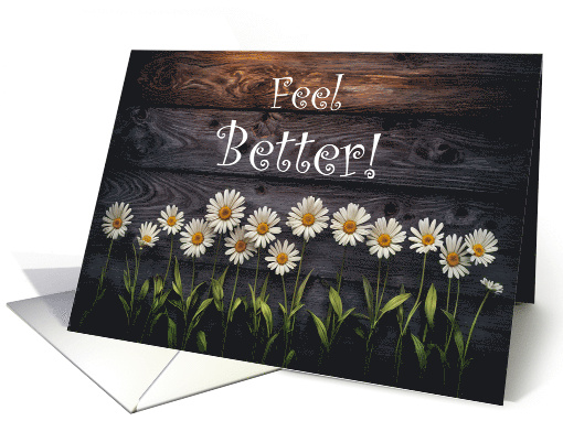 Get Well Feel Better Healing Cute Daisy Flowers Custom Text card