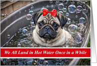 Encouragement Hot Water Cute Pug Puppy in a Bubble Bath Humorous card