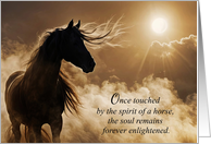 Horse Sympathy Loss of Equine Memorial Condolences Spiritual Message card