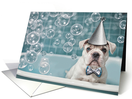 Birthday English Bulldog Cute and Funny in Bath with... (1926994)