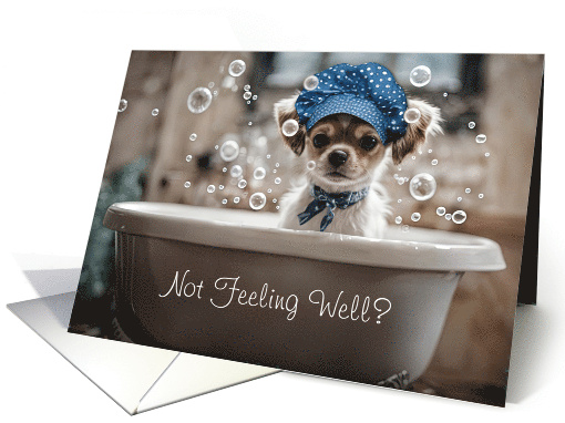 Get Well Feel Better Cute Chihuahua Puppy Dog in A Tub Custom Txt card