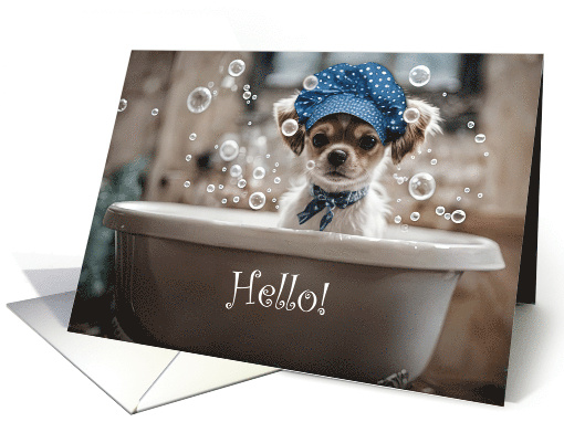 Hello Hi Cute Chihuahua Puppy Dog in a Bubble Bath Humor... (1927000)