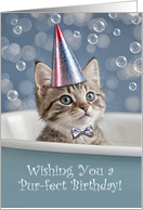 Happy Birthday Cute Kitten in Tub With Party Hat and Tie Custom Text card