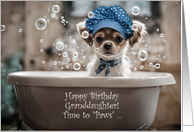 Granddaughter Happy Birthday Cute Chihuahua Pup in a Tub Custom card