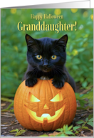 Granddaughter Happy Halloween Cute Black Kitten Cat Jack O Lantern card