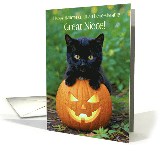 Great Niece Little Black Kitten Cat and Orange Yellow... (1944096)