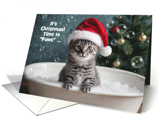 Cute Gray Tabby Cat in a Bubble Bath with a Santa Hat... (1945206)