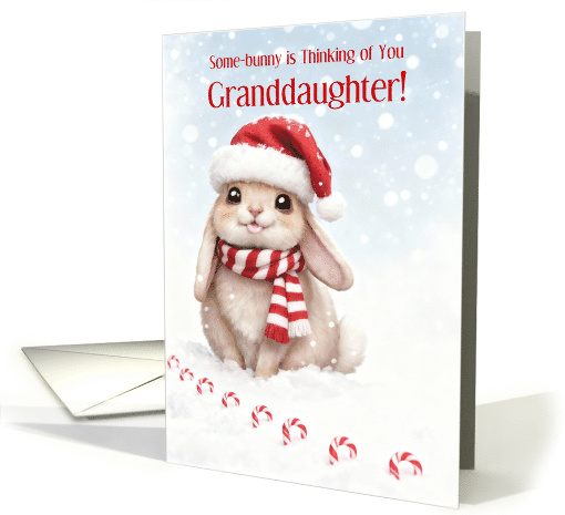 Granddaughter Cute Bunny in the Snow Thinking of You... (1948176)