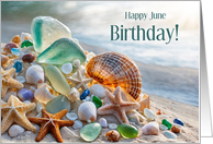 June Birthday with Seashells Sea Glas and Starfish Beach Custom