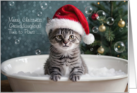 Granddaughter Cute and Funny Christmas Kitty with Santa Hat Cutom card