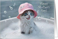 Mothers Day Cute and Funny Kitten in a Bubble Bath Pink Hat Custom