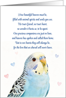 Parakeet Sympathy Loss of Bird Spiritual Heartfelt Poem of Heaven