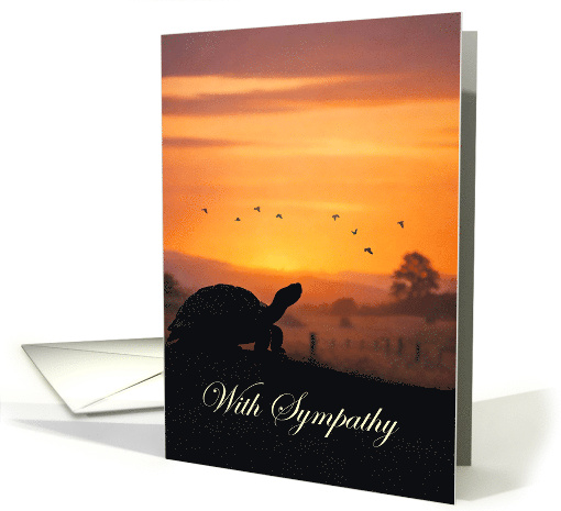 Turtle Sympathy with Silhouette Turtle in Sunset Simple Custom card