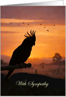 Bird Sympathy Loss of Pet Bird Silhouetted on Country Custom