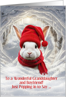 Granddaughter and Boyfriend Fun and Cute Christmas Holiday Custom card