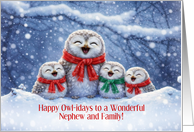 Nephew and Family Cute and Fun Happy Holidays Christmas Custom card